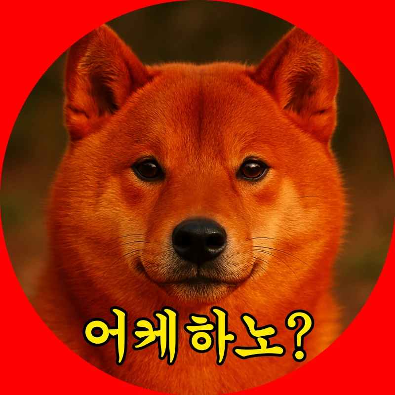 카테고리 프로필